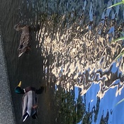 Photo submitted by Billie