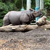 Photo submitted by Christina