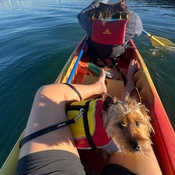 Photo submitted by Guest