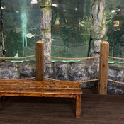 Photo submitted by Elizabeth