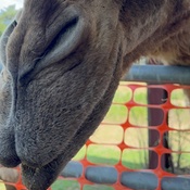 Photo submitted by rabia