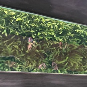 Photo submitted by Joanne