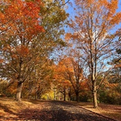 Photo submitted by Alicja