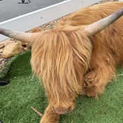 Photo submitted by Robn