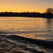 Photo submitted by Shannon