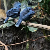 Photo submitted by Jamal