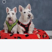 Photo submitted by Jennifer