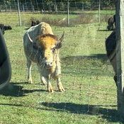 Photo submitted by jessica