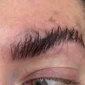 Photo submitted by blakelee