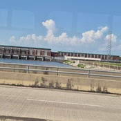 Photo submitted by millicent