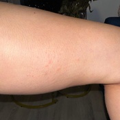 Photo submitted by Camila