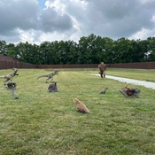 Photo submitted by Jessica