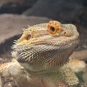 Photo submitted by Amanda