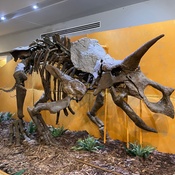 Photo submitted by Sharon