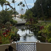 Photo submitted by Marissa