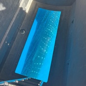 Photo submitted by Karen