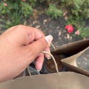 Photo submitted by Heiddy