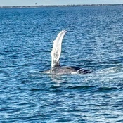 Photo submitted by Jerome