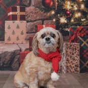 Photo submitted by Paulina