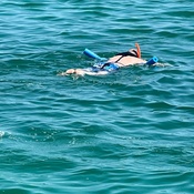 Photo submitted by Marianne