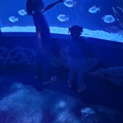 Photo submitted by Connie