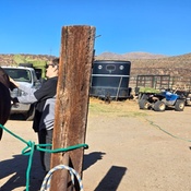 Photo submitted by Lindsay