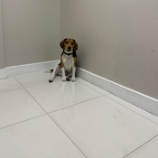 Photo submitted by Guest