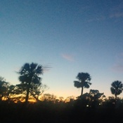 Photo submitted by Lori