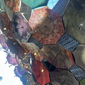 Photo submitted by Melissa