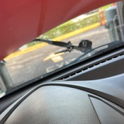 Photo submitted by Daysi