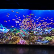 Photo submitted by Guest