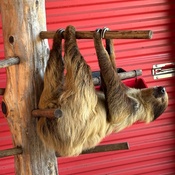 Photo submitted by MJ