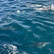 Photo submitted by emy