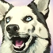 Photo submitted by Alen