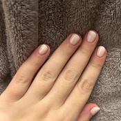 Photo submitted by Guest