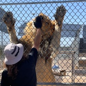 Photo submitted by Janice