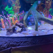 Photo submitted by yolanda