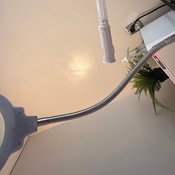 Photo submitted by Evelyn