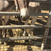 Photo submitted by Julisa