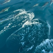 Photo submitted by Guest