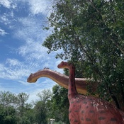 Photo submitted by Brenda