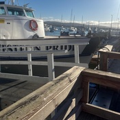 Photo submitted by Mauro