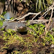 Photo submitted by Monica