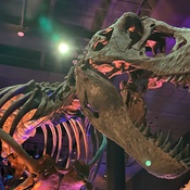 Photo submitted by Guest