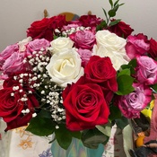 Photo submitted by S.