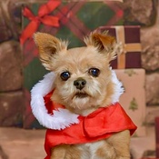 Photo submitted by Denise