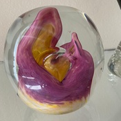 Photo submitted by Melissa