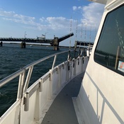 Photo submitted by Karen