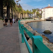 Photo submitted by Daphne