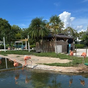 Photo submitted by lauren